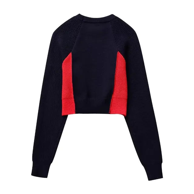 Pre Order:  Round Neck Long Sleeved Color Block Knitted Sweater