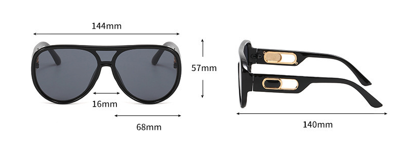 Pre Order:  One-Piece Oversized Punk Sunglasses