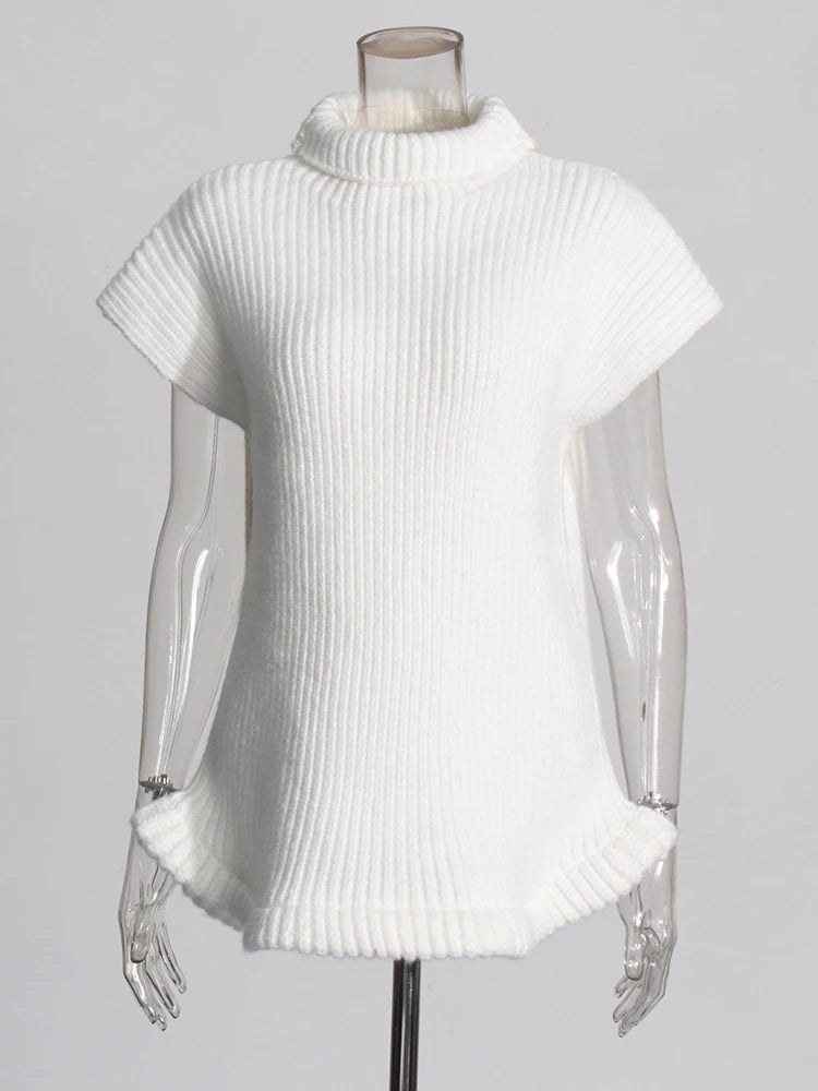 Pre Order:  Elegant Turtleneck Sleeveless Knitted Top