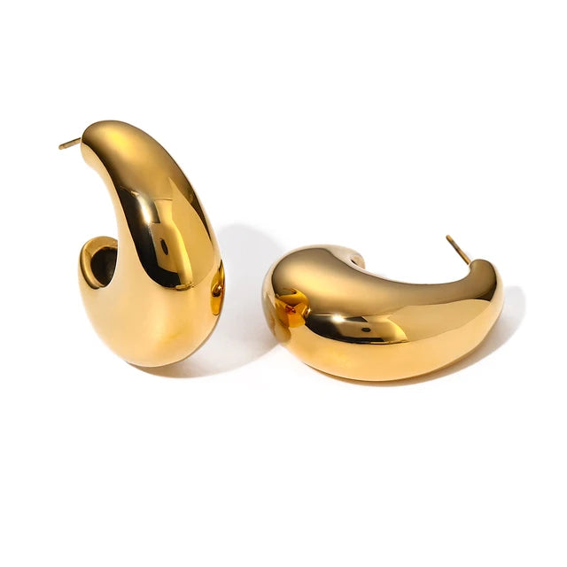 Pre Order:  C-Shaped Stainless Steel Earrings