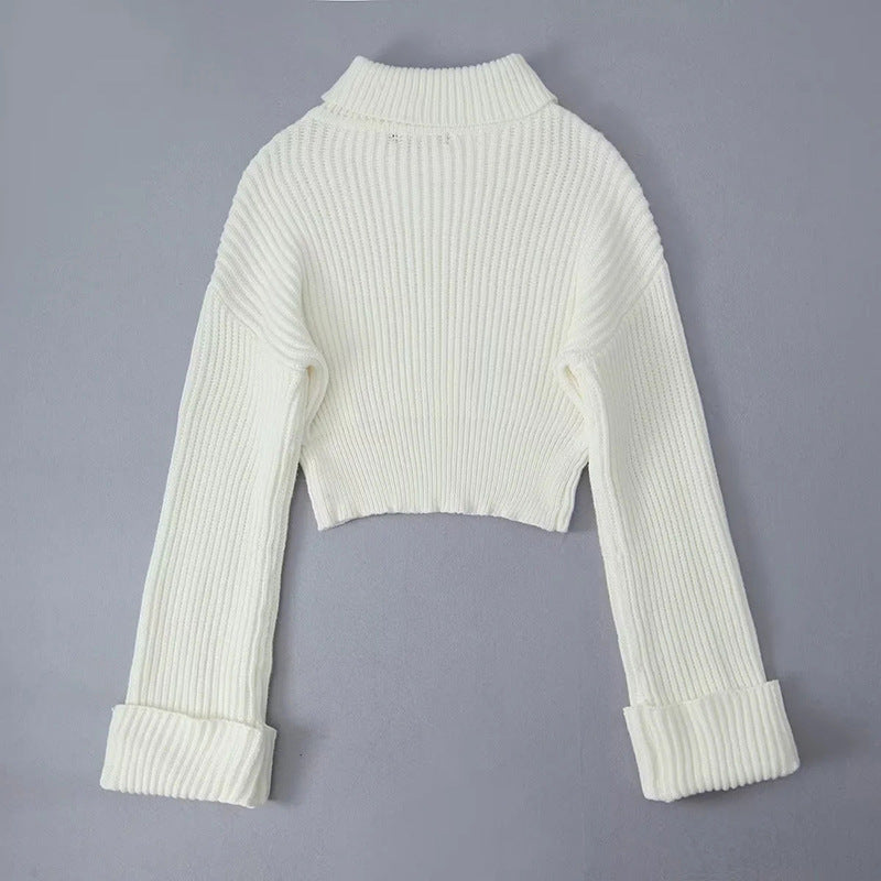 Pre Order: Turtleneck Slim Fit Long Sleeved Solid Knitted Sweater