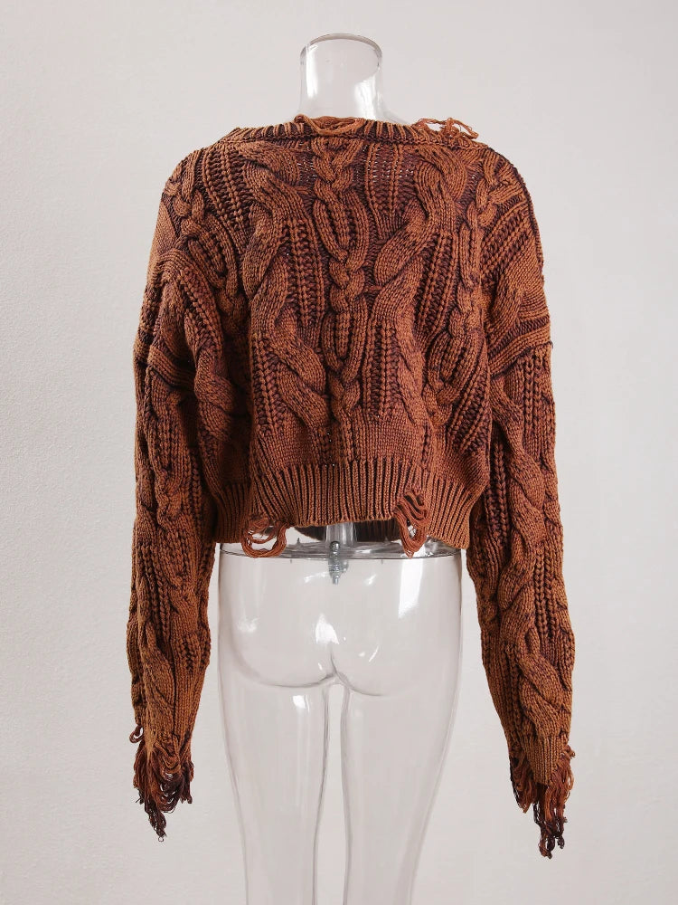 Pre Order:  Tassel Distressed Hollow Knitted Sweater