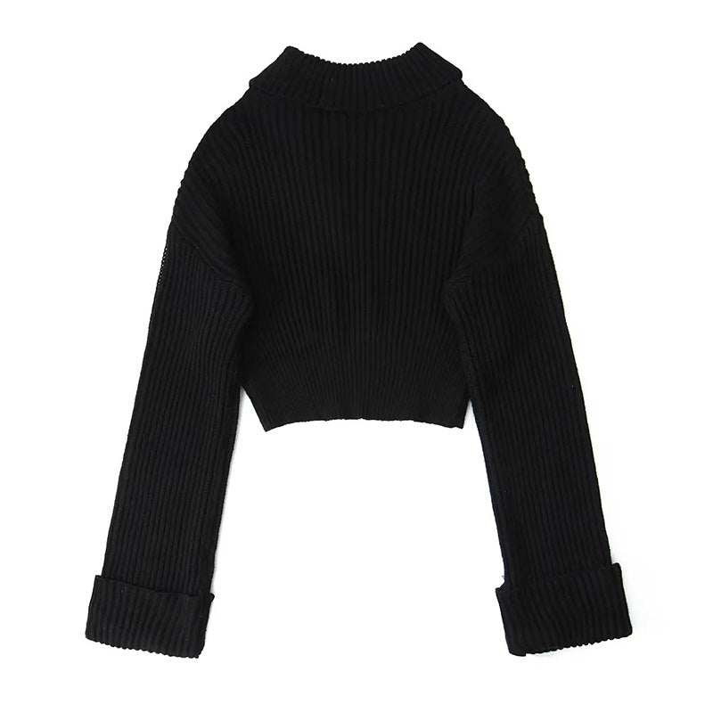 Pre Order: Turtleneck Slim Fit Long Sleeved Solid Knitted Sweater