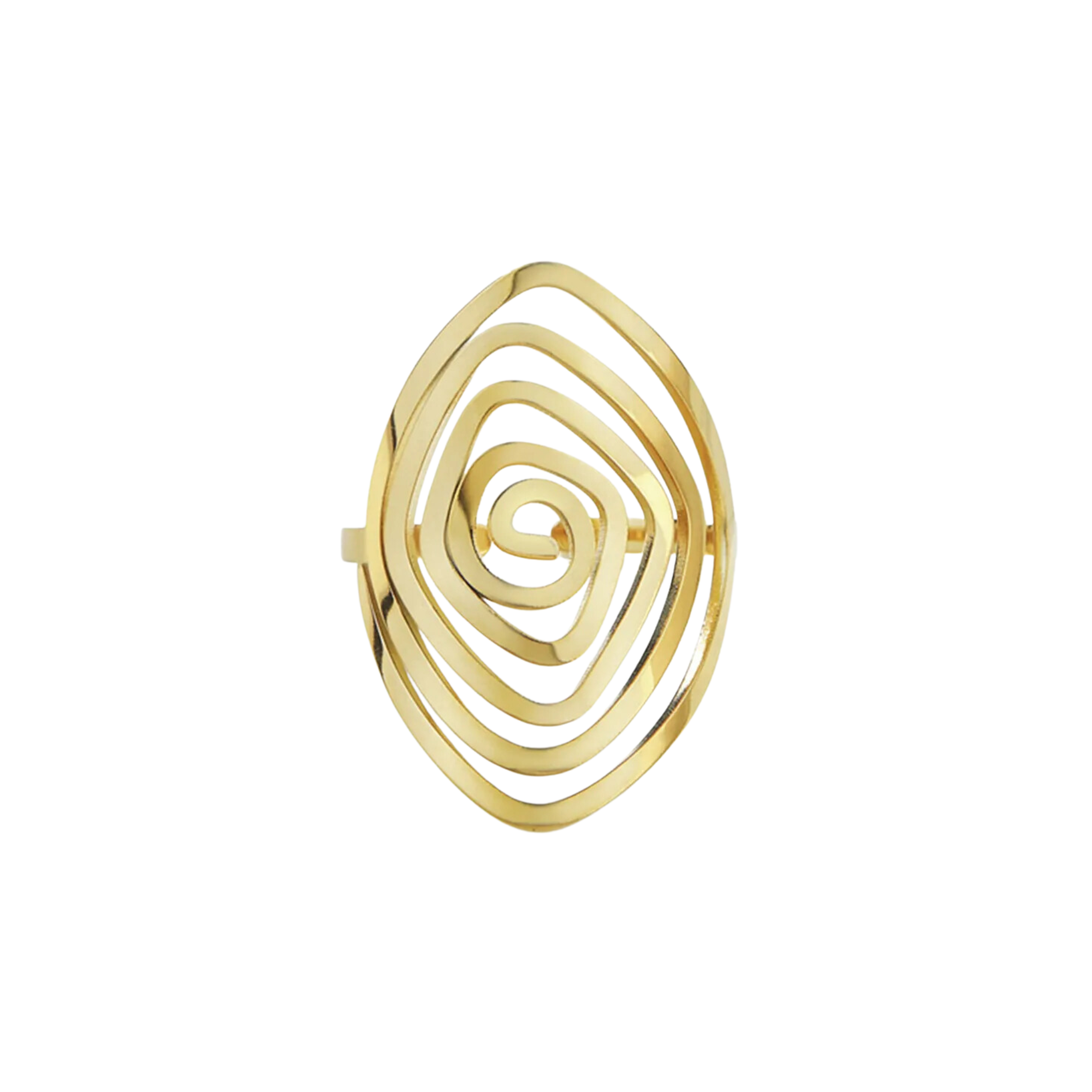 Pre Order:  Spiral Maze Stainless Steel Ring