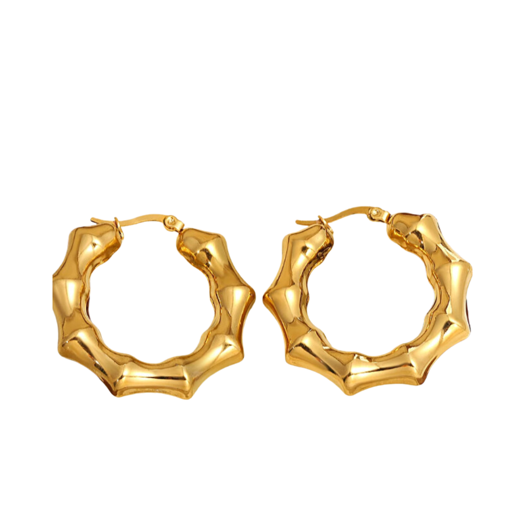 Pre Order:  Charm Bamboo Stainless Steel Hoop Earrings