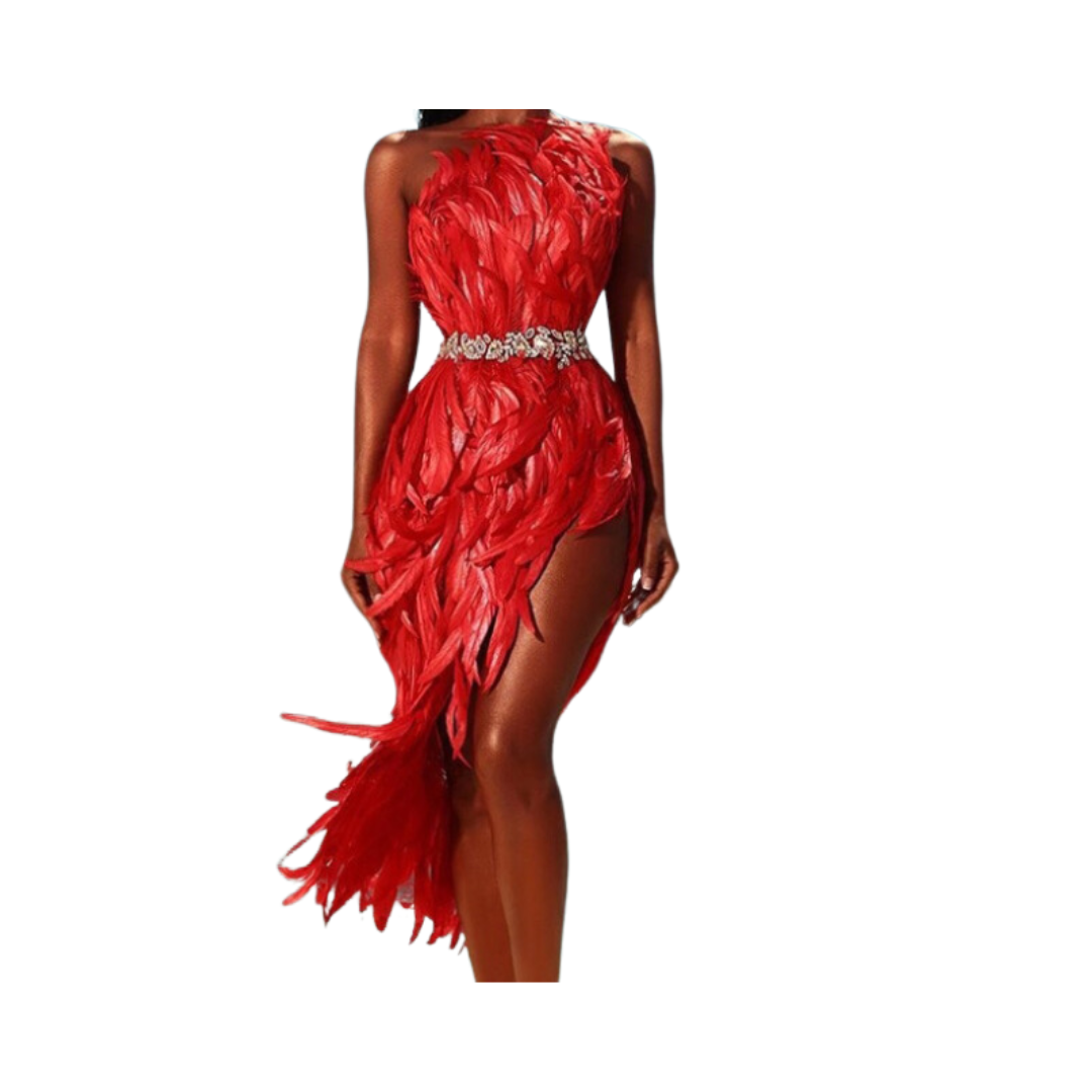 Pre Order:  One Shoulder Feather Sequins Dress