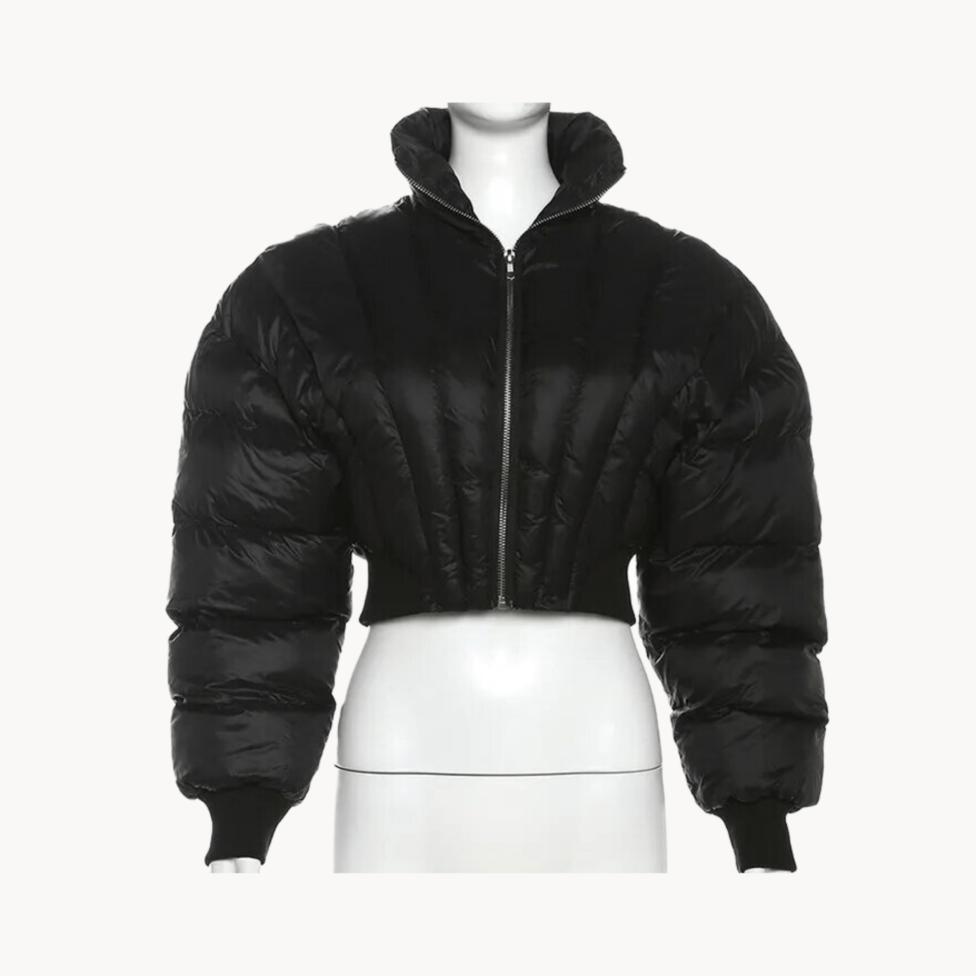 Stand Collar Cropped Padded Jacket - Kelly Obi New York