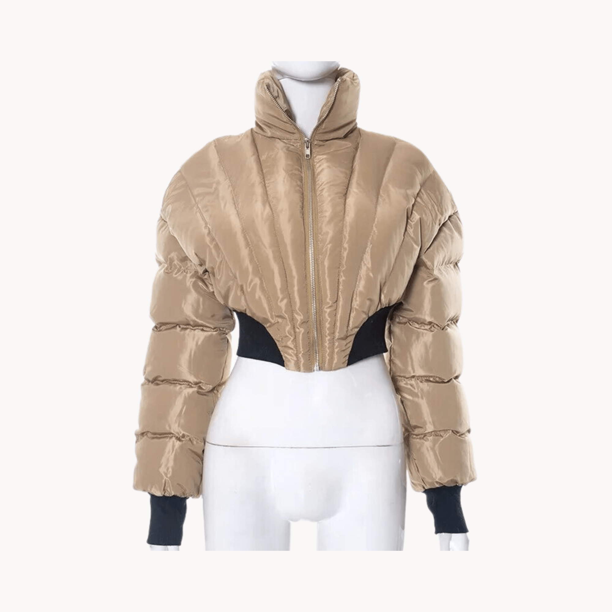 Stand Collar Cropped Padded Jacket - Kelly Obi New York