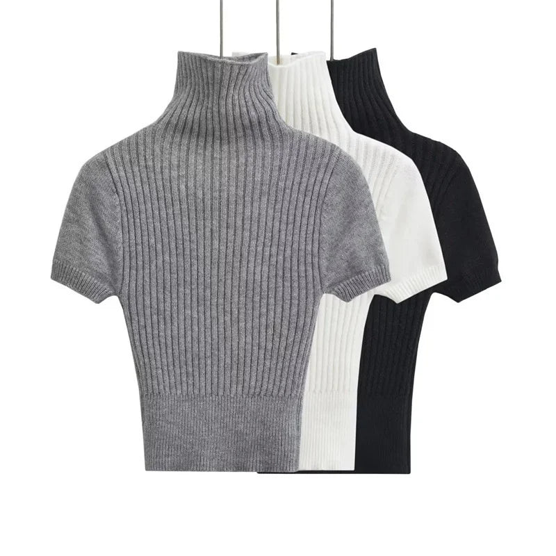 Turtleneck Short Sleeves Knit Top - Kelly Obi New York